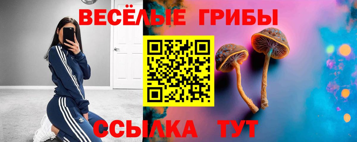 Галлюциногенные грибы ЛСД  Вход с VPN  Псилоцибиновые грибы Psilocybe  Зеленогорск 